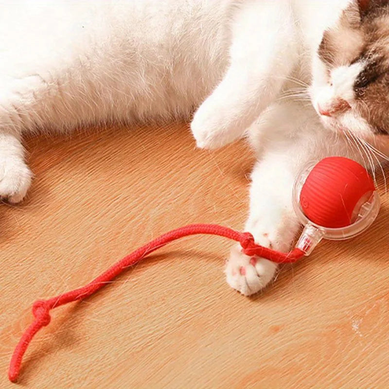 Smart Electric Rolling Ball Cat Toy – Auto Interactive & Rechargeable