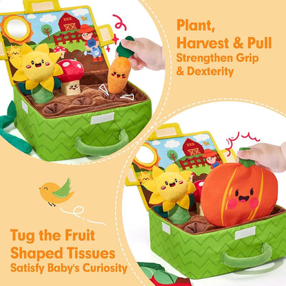 Baby Sensory Garden Toy