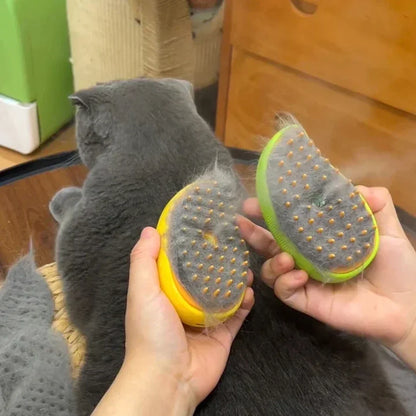 3-in-1 Pet Steam Brush – Groom, Massage & Detangle