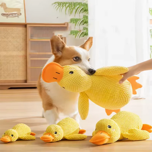 Plush Duck Dog Toy with Squeaky Design